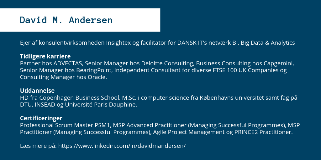 Facilitator DANSK IT